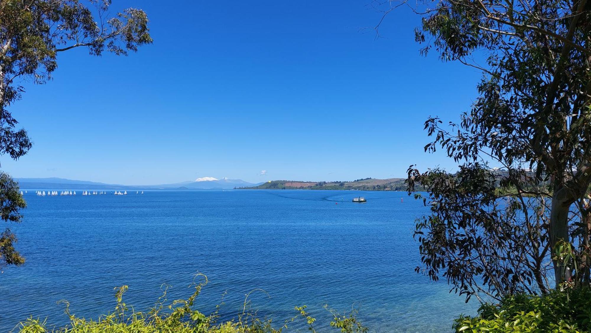 Bed And Breakfast Happy Home Taupo Accommodation Екстериор снимка